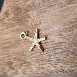 Beach starfish charm‎